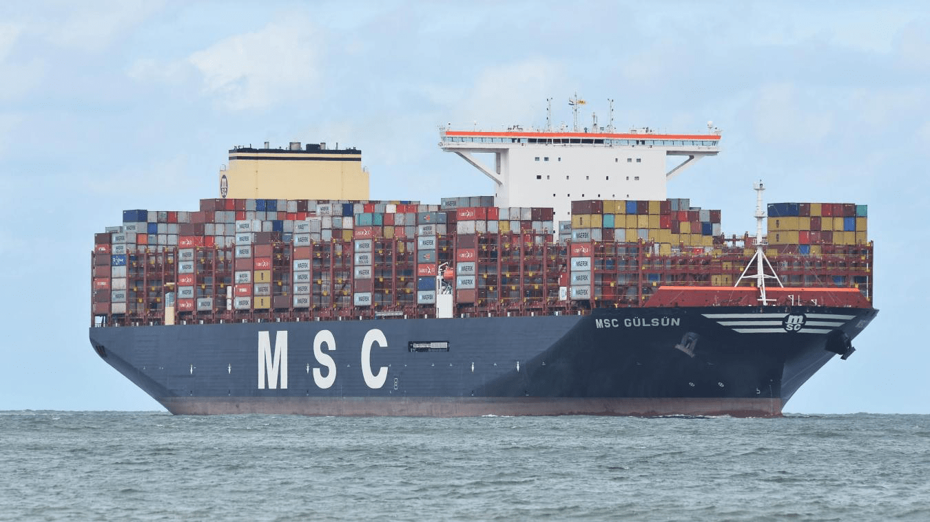 Resultados de la búsqueda MoodleEssca